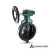 Butterfly Valve PN 1.6 with S.G Iron Disc Gear Operated