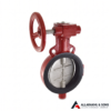 Butterfly Valve Wafer Type PN 2.5 with S.S 304 Disc Gear Operated