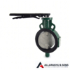 Butterfly Valve Wafer Type PN 1.6 with S.S 304 Disc